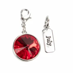 Austrian Crystal Birth Month Charm Set by Bead Landing™