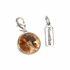 Austrian Crystal Birth Month Charm Set by Bead Landing™