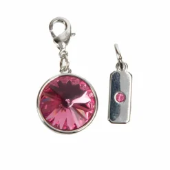 Austrian Crystal Birth Month Charm Set by Bead Landing™