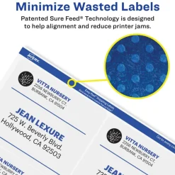 Avery Printable Shipping Labels with Sure Feed, 3-1/3" x 4", Matte Clear, 60 Blank Mailing Labels (18664)