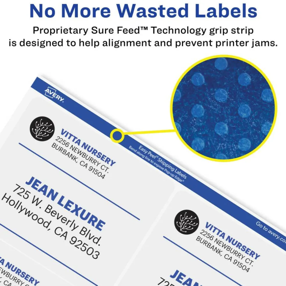 Avery Printable Shipping Labels with Sure Feed, 2" x 4", Matte Clear, 100 Blank Mailing Labels (15663)