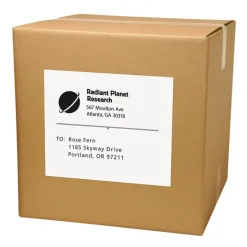 Avery Shipping Labels for Copiers, 8-1/2" x 11", 100 White Labels (5353)