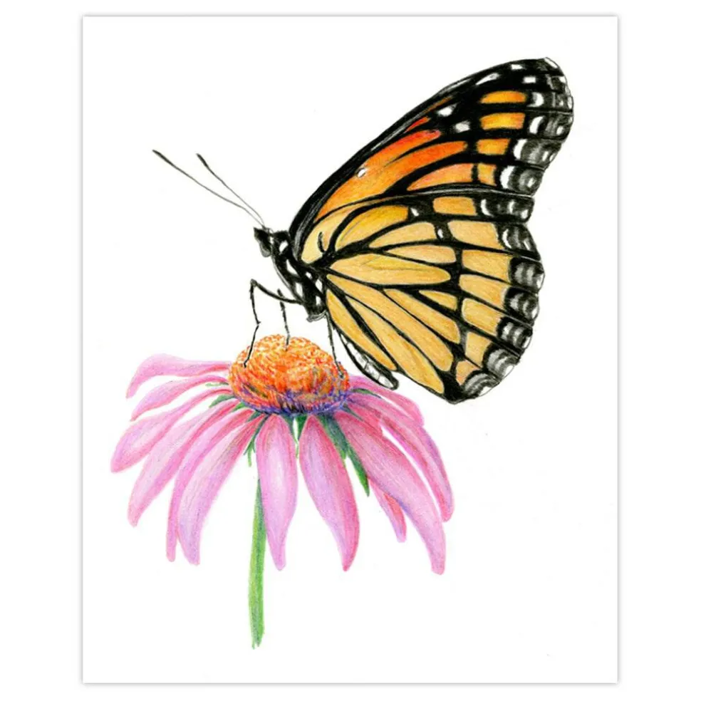 AVS-DME202 | Drawing Made Easy™ 26pc 8" x 10" Butterflies 4 Project Box Set