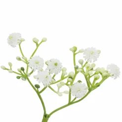 11.5