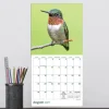 2027 Backyard Birds Mini Calendar