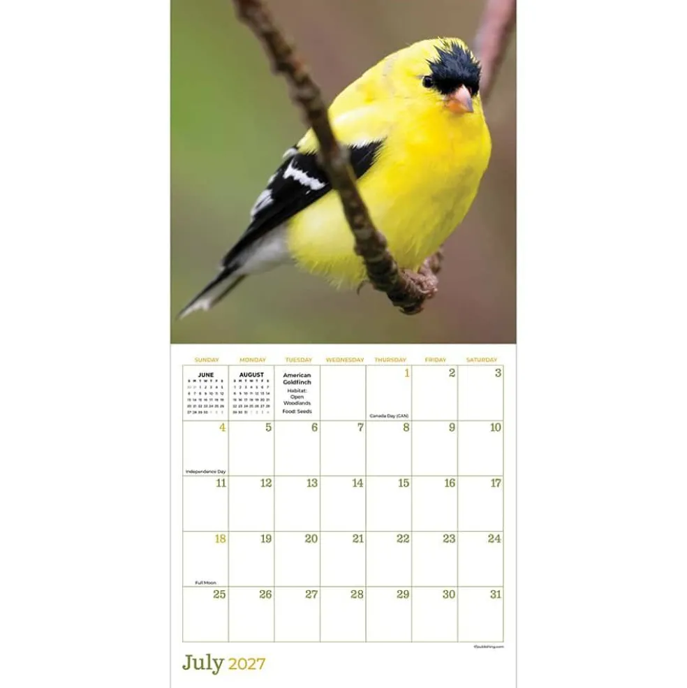 2027 Backyard Birds Mini Calendar