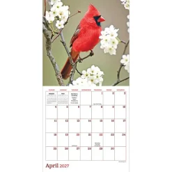 2027 Backyard Birds Mini Calendar