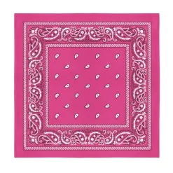 Balec Bulk Wholesale 60 Pack Paisley Polyester Bandanas Unisex