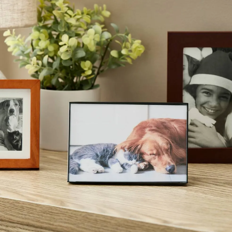 Basics Black Frame by Studio Décor®