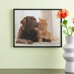 Basics Black Multipurpose Frame by Studio Décor®
