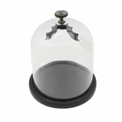 7.5" Bat Glass Cloche by Ashland®