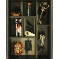 17.75" Bat Skull Curiosities Cabinet Tabletop Décor by Ashland®
