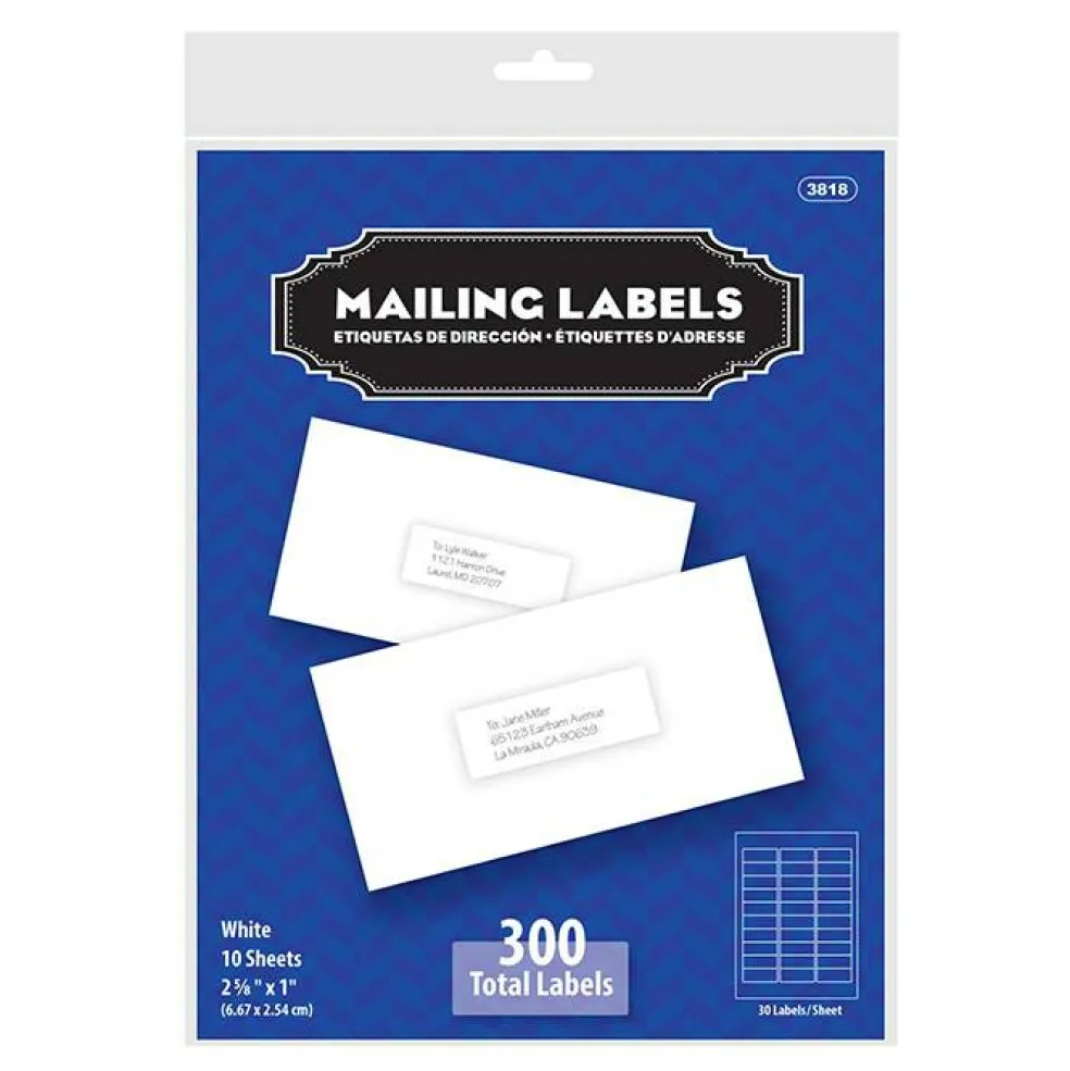 BAZIC Mailing Labels, White, 2-5/8" x 1", 300 Count