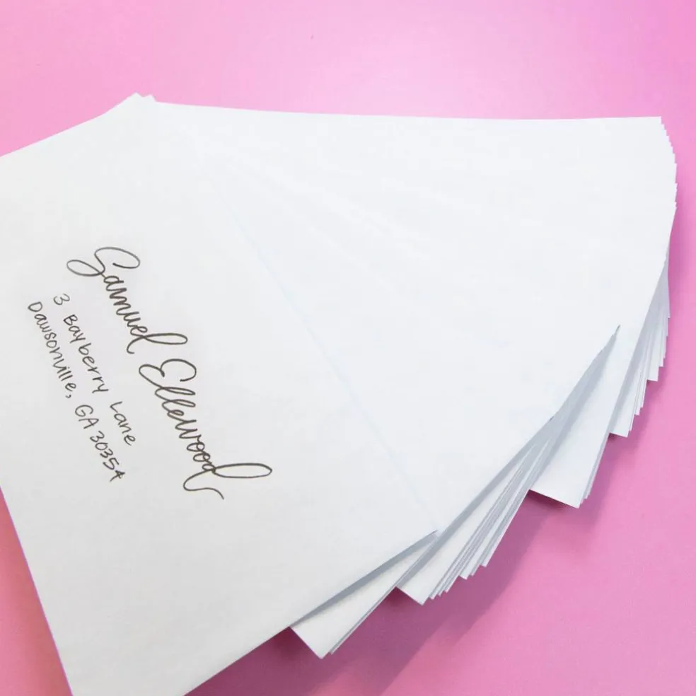 BAZIC #10 Security White Envelopes, Self-Seal, 500 Count