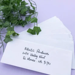 BAZIC #10 Security White Envelopes, Gummed, 40 Count, Security-Tint Paper