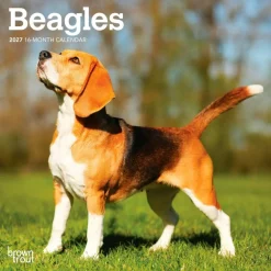 Beagles | 2027 7 x 14 Inch (Hanging) Monthly Mini Wall Calendar