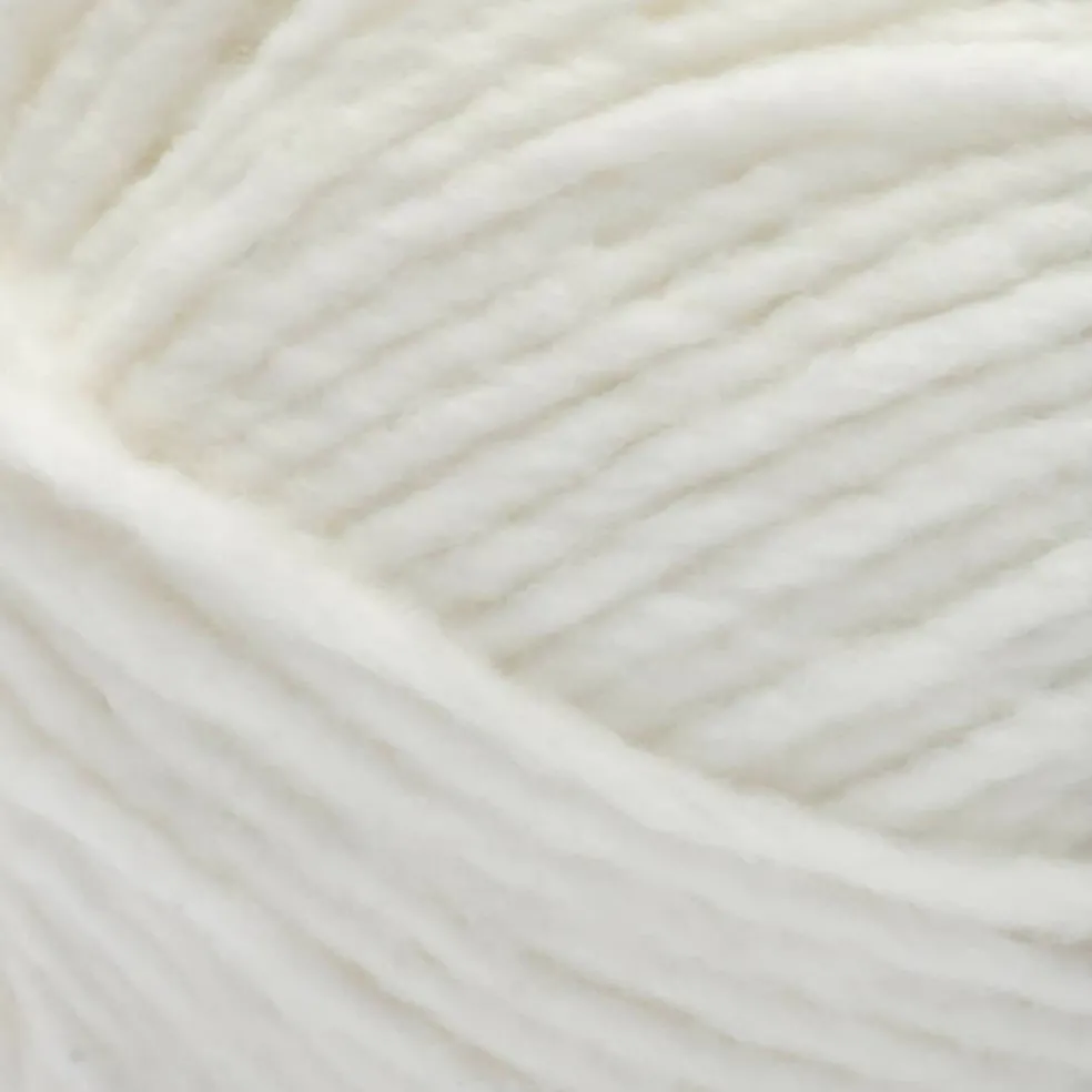 Bernat® Forever Fleece™ Yarn
