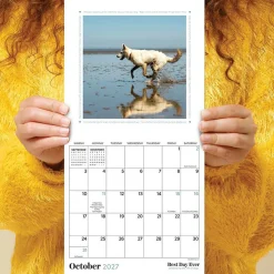 2027 Best Day Ever: Dogs Mini Calendar