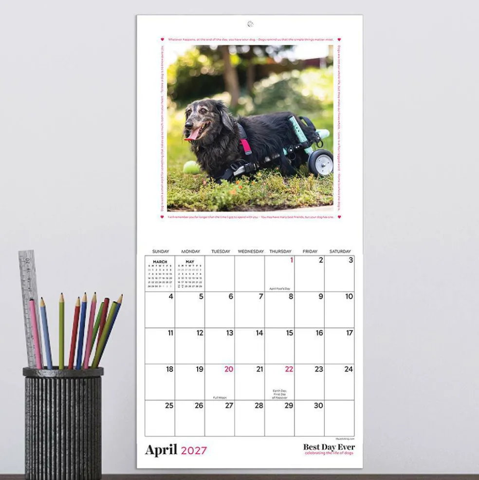 2027 Best Day Ever: Dogs Mini Calendar