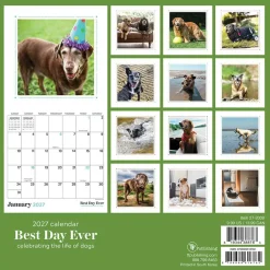 2027 Best Day Ever: Dogs Mini Calendar