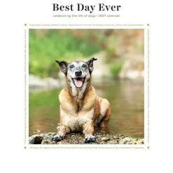 2027 Best Day Ever: Dogs Mini Calendar