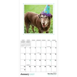 2027 Best Day Ever: Dogs Mini Calendar