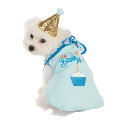 Best Furry Friends Birthday Boy Party Set