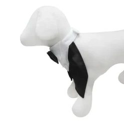 Best Furry Friends Classic Tuxedo Collar