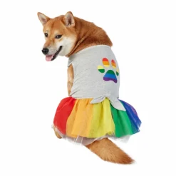 Best Furry Friends Pride Pet Dress