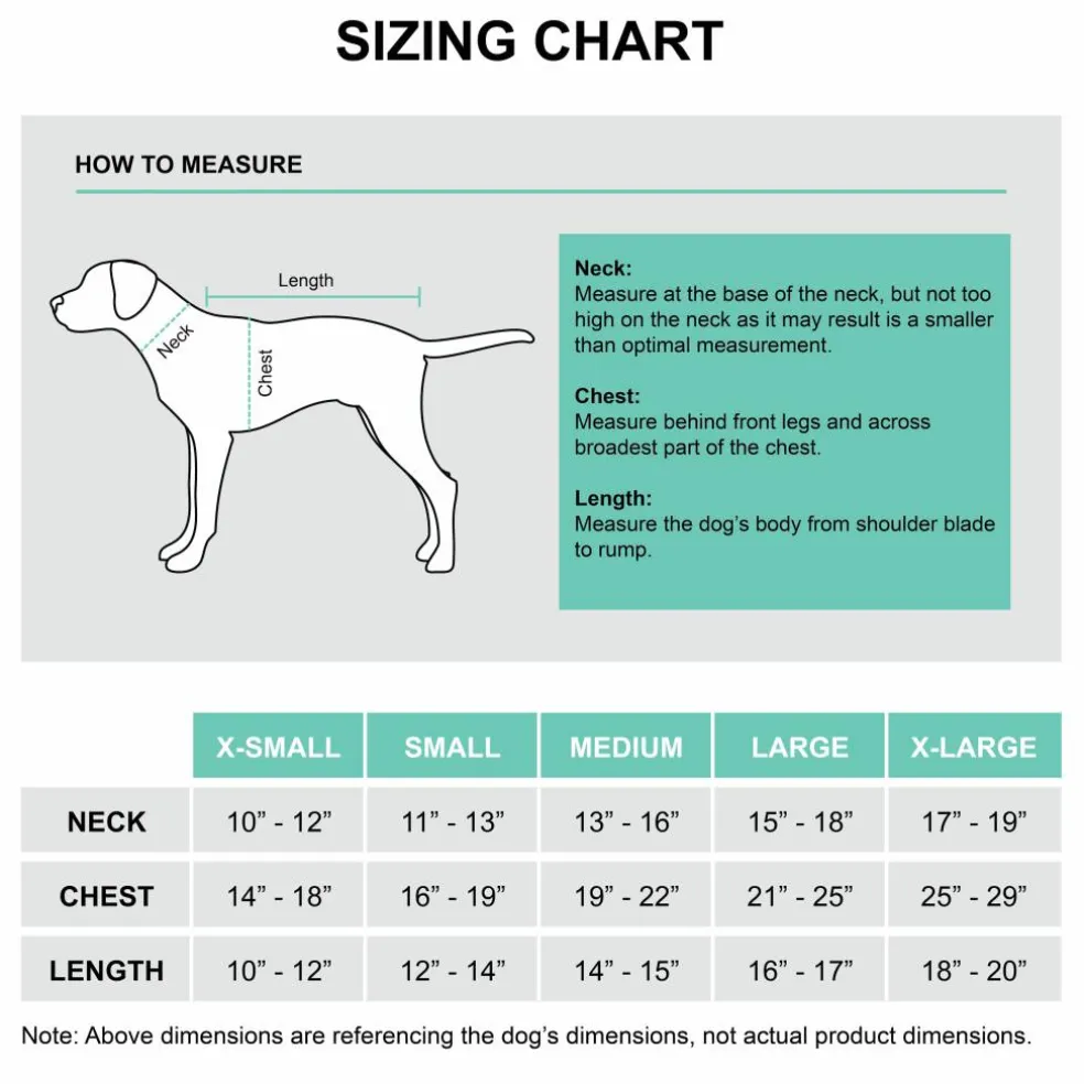 Best Furry Friends Pride Pet Dress