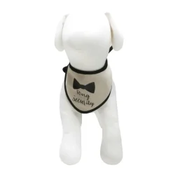 Best Furry Friends Ring Bearer Bandana