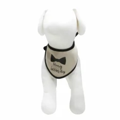 Best Furry Friends Ring Bearer Bandana