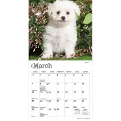 Bichon Frise Puppies | 2027 7 x 14 Inch (Hanging) Monthly Mini Wall Calendar