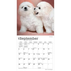 Bichon Frise Puppies | 2027 7 x 14 Inch (Hanging) Monthly Mini Wall Calendar