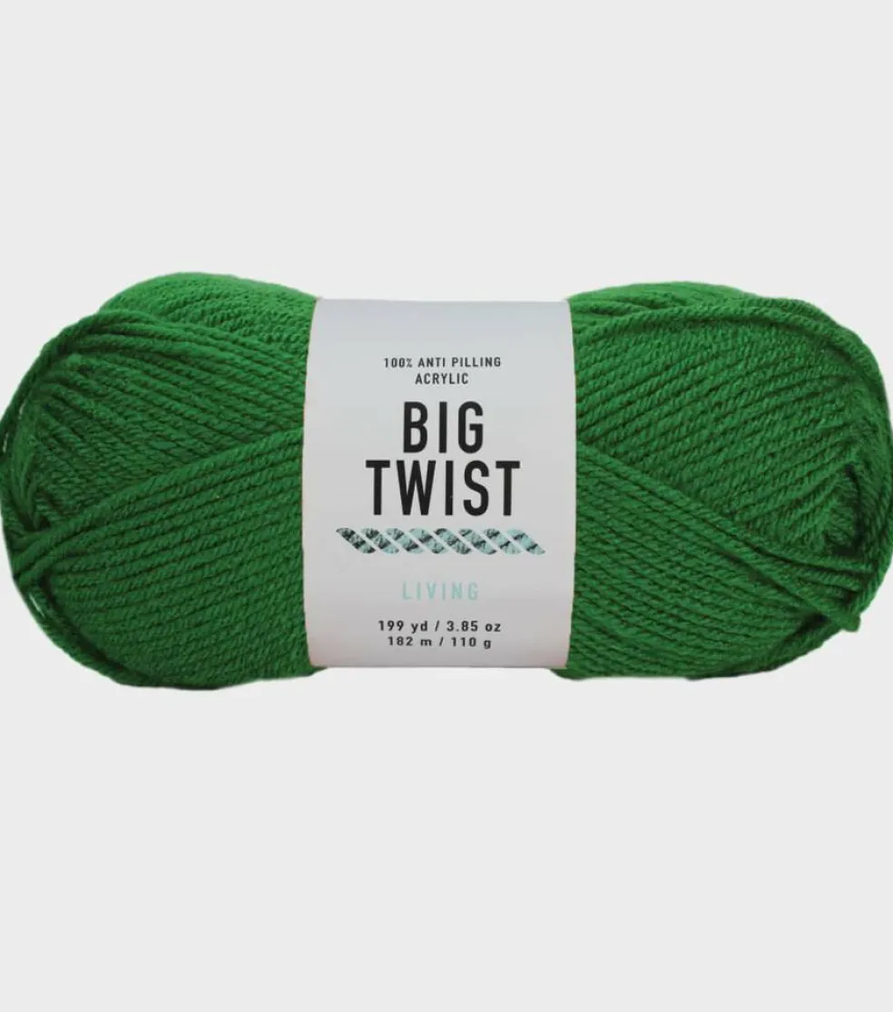 Big Twist® Living Yarn
