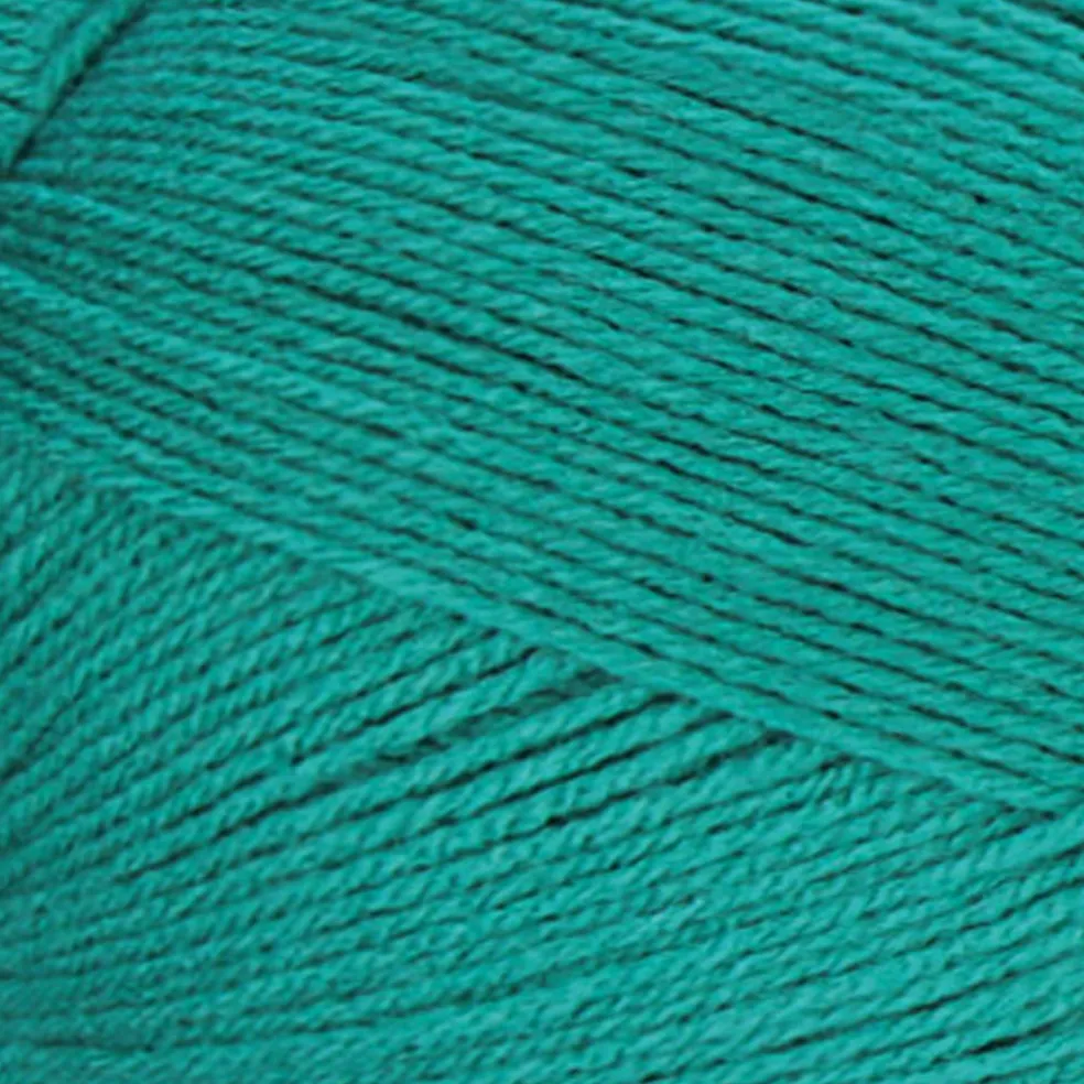 Big Twist® Value Pound+ Yarn