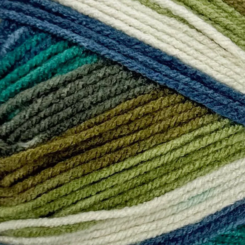 Big Twist® Winter Worsted Stripes Yarn