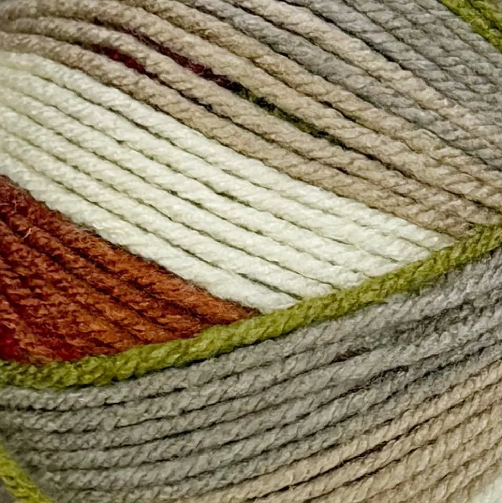 Big Twist® Winter Worsted Stripes Yarn
