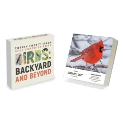 2027 Birds: Backyard & Beyond Daily Desktop Calendar