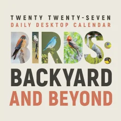 2027 Birds: Backyard & Beyond Daily Desktop Calendar