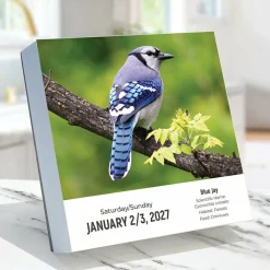 2027 Birds: Backyard & Beyond Daily Desktop Calendar