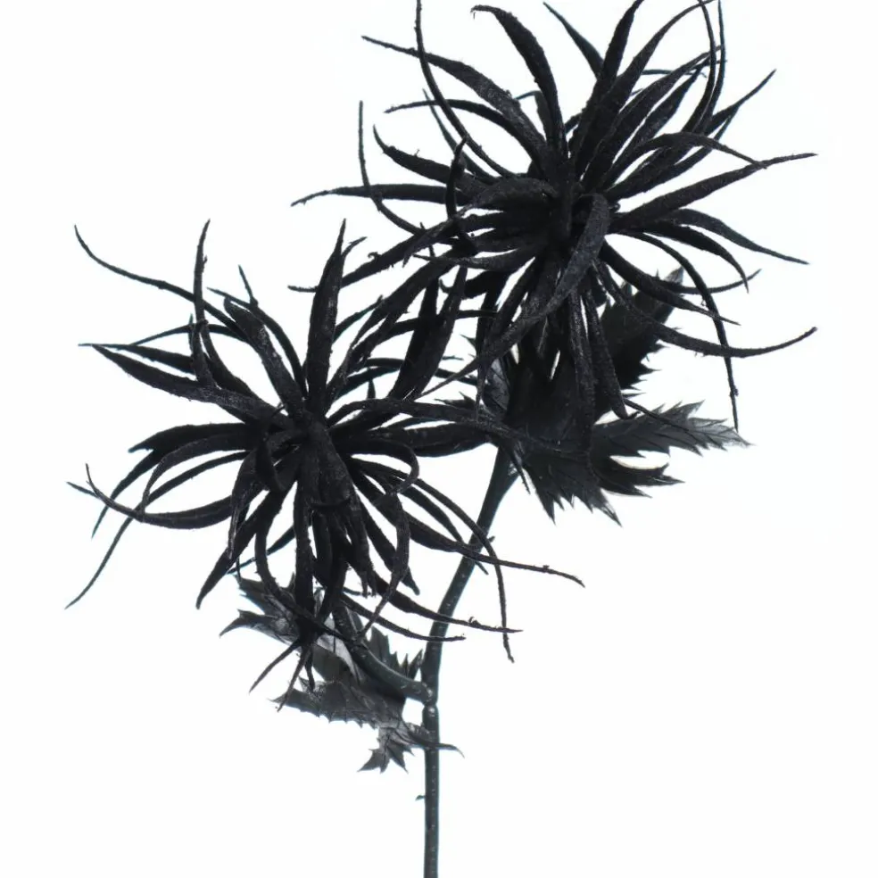 12" Black Airplant Pick by Ashland.