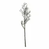 Black Bare Branch Stem by Ashland®