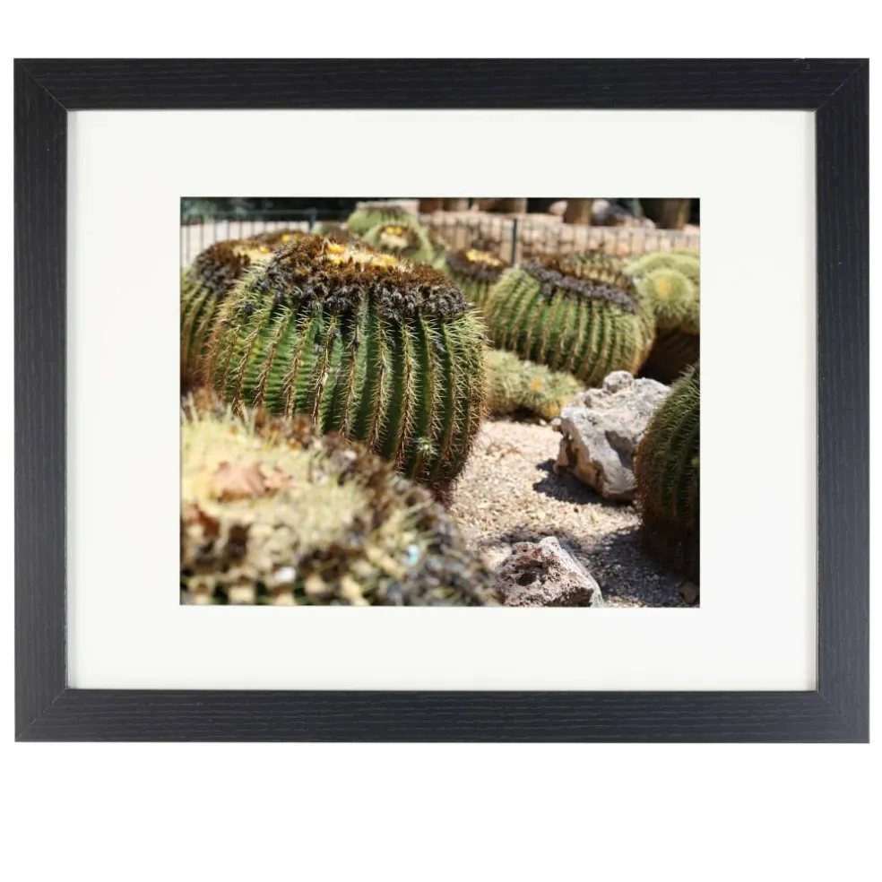 Black Belmont Frame with Mat by Studio Décor®