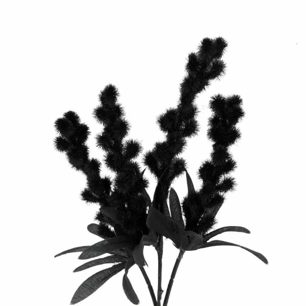 12" Black Berry Mini Bundle by Ashland®