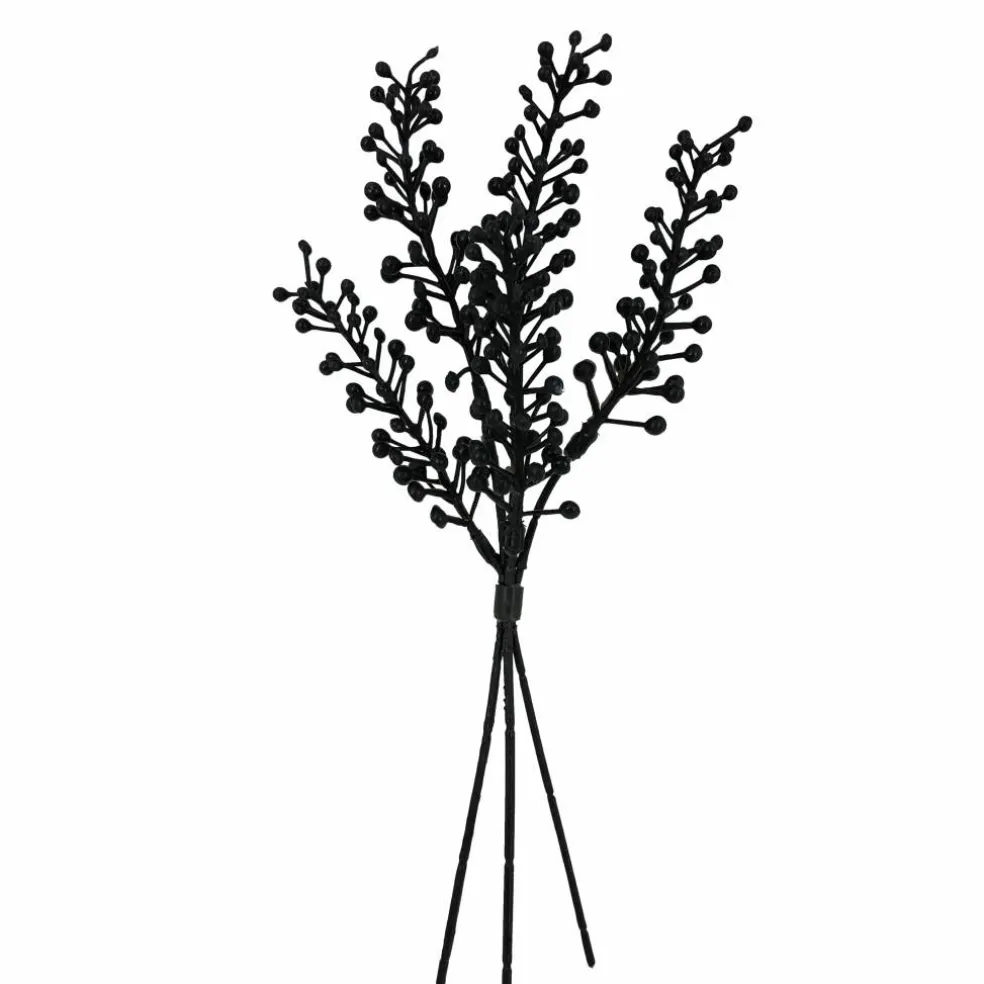 12" Black Berry Seed Mini Bundle by Ashland®