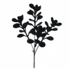 10" Black Boxwood Pick by Ashland®