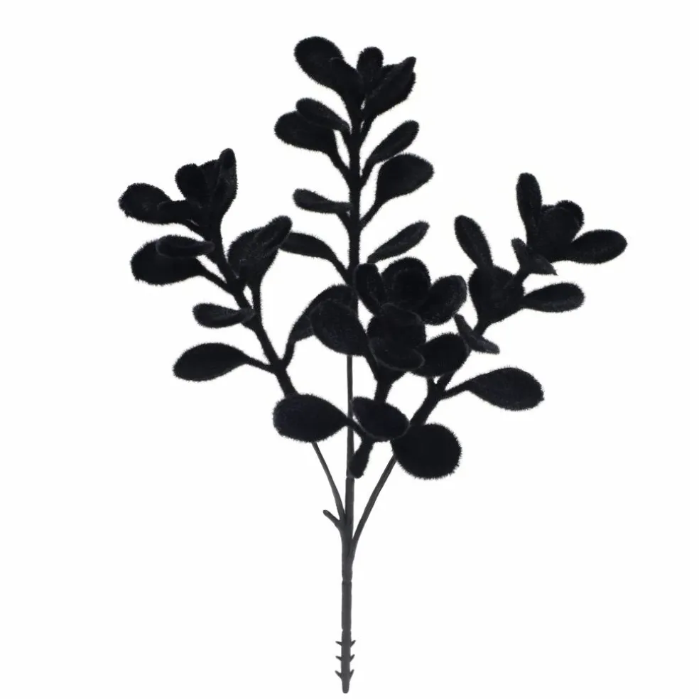 10" Black Boxwood Pick by Ashland®