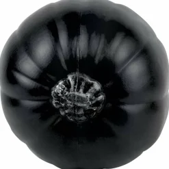 Black Craft Pumpkin by Ashland®