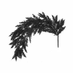 33" Black Cypress Pine Bush by Ashland®